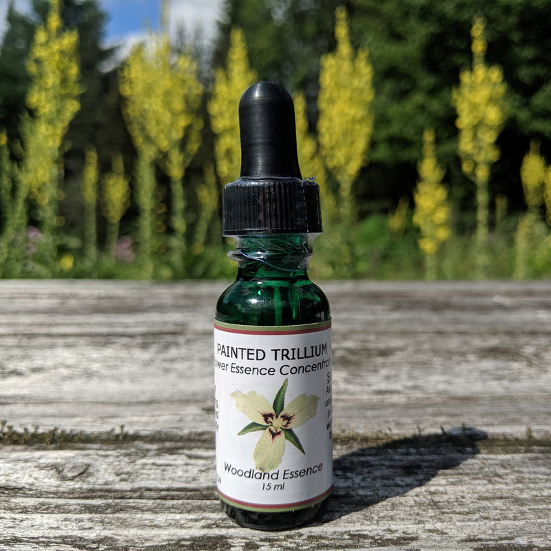 Bottle of Painted Trillium Flower Essence on picnic table 