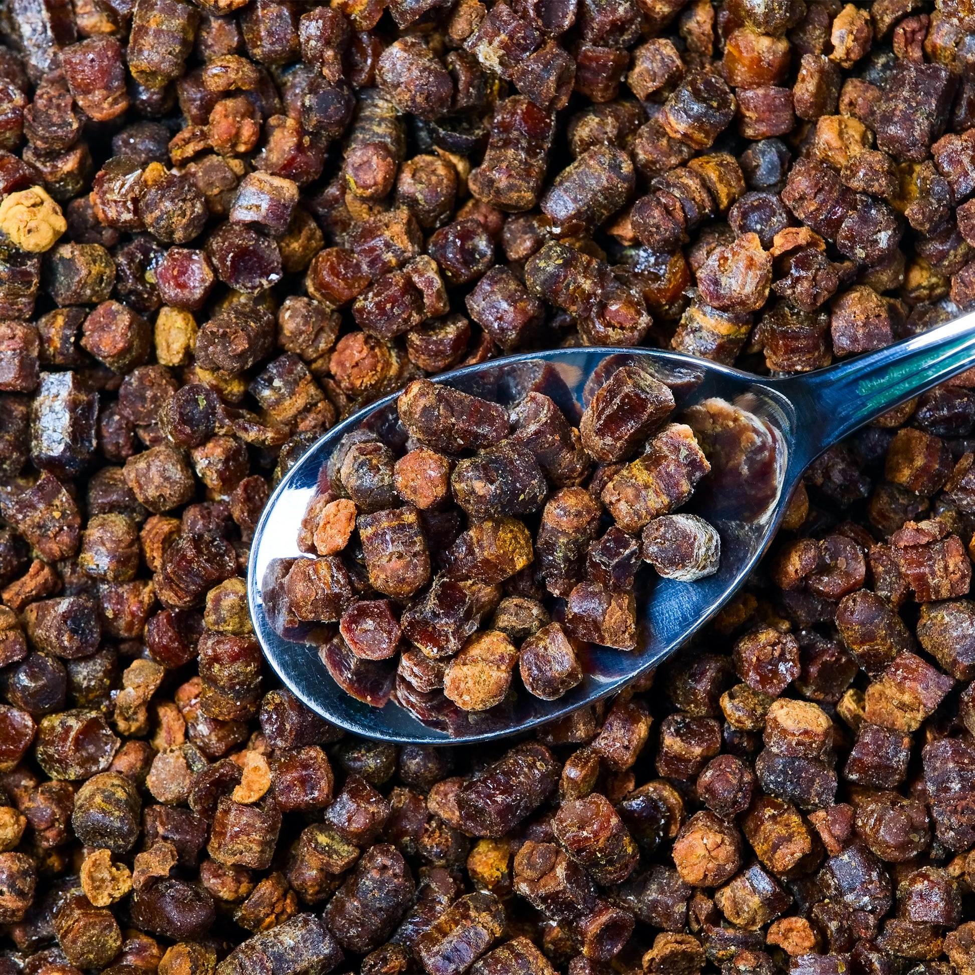 Propolis resin pellets on a spoon 
