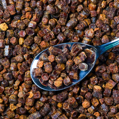 Propolis resin pellets on a spoon 