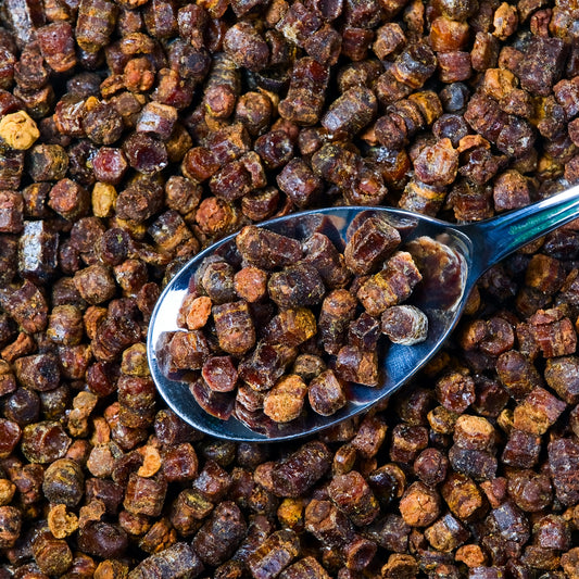 Propolis resin pellets on a spoon 