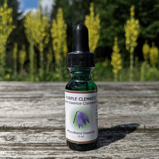 Bottle of Purple Clematis Flower Essence bottle on picnic table 