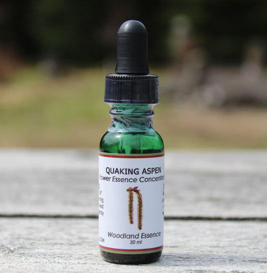 Bottle of Quaking Aspen Flower Essence on picnic table 