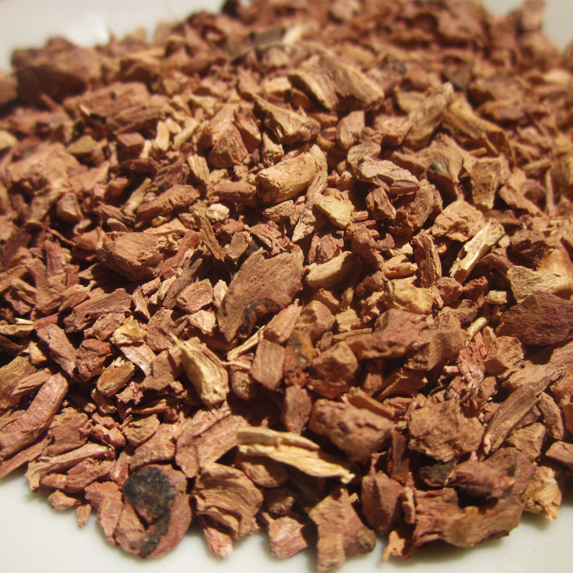 Red Root Extract – Woodland Essence