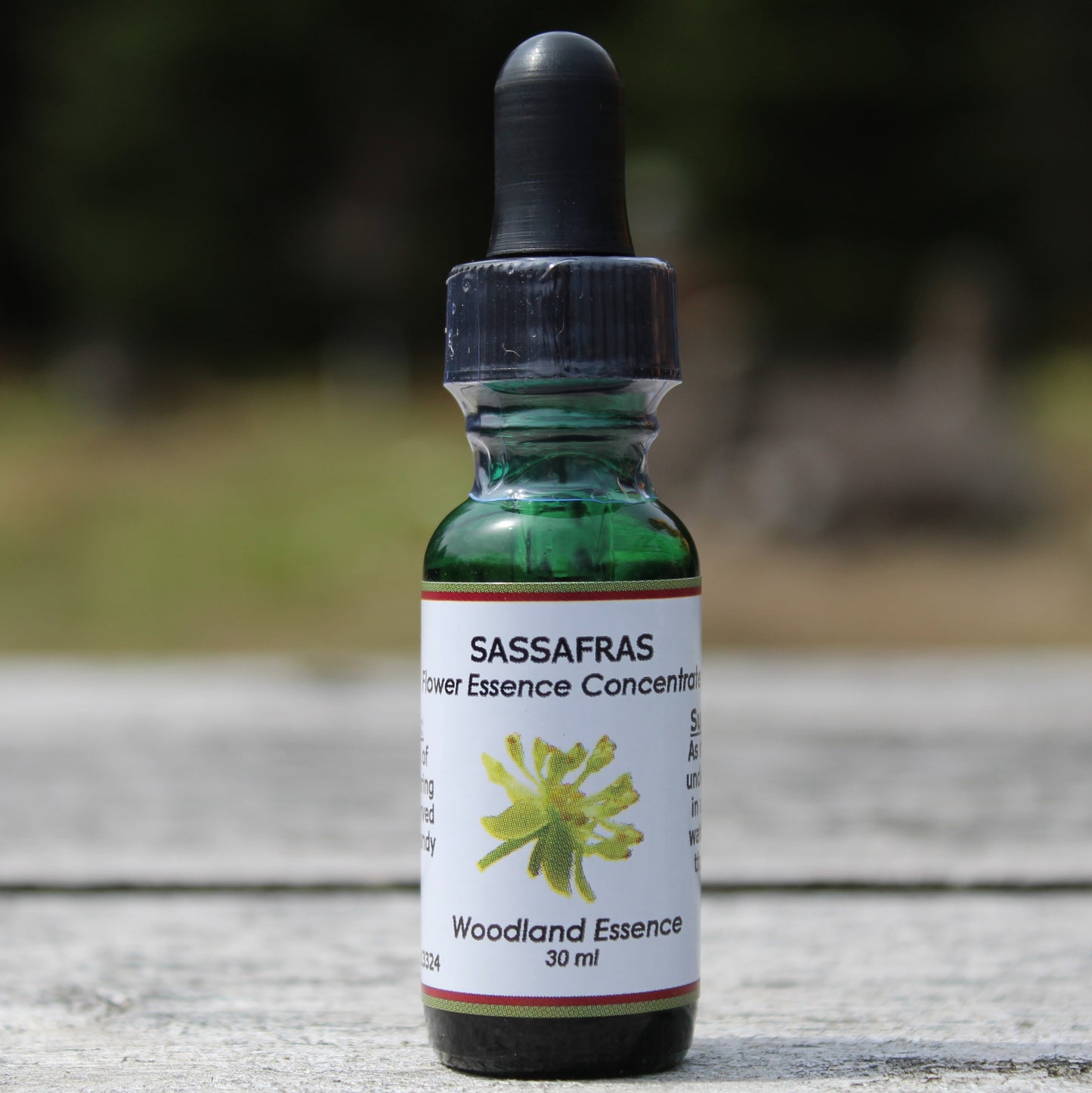 Bottle of Sassafras Flower Essence on picnic table 