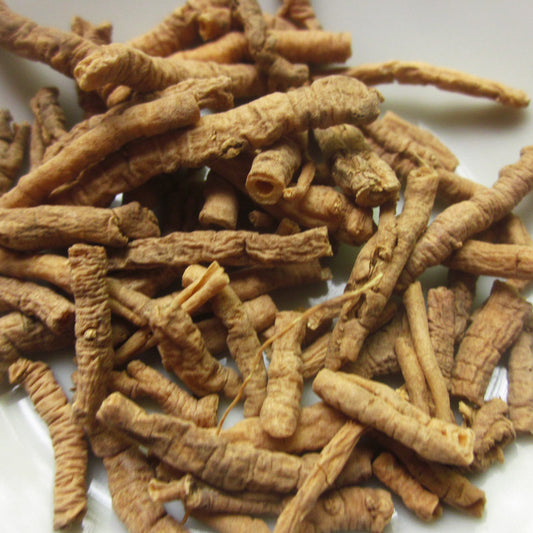 Chopped up Senega roots 