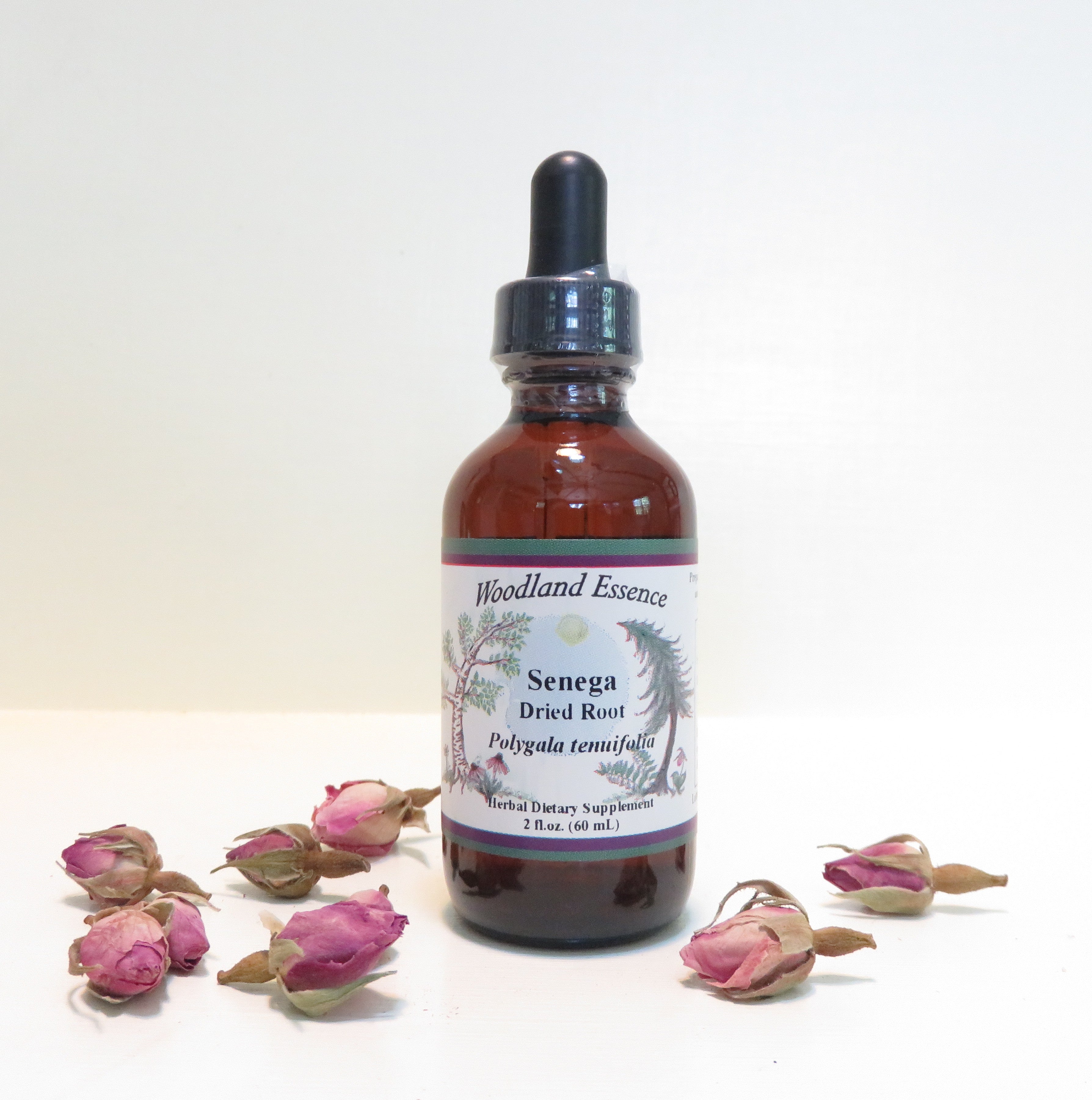 Senega Extract – Woodland Essence