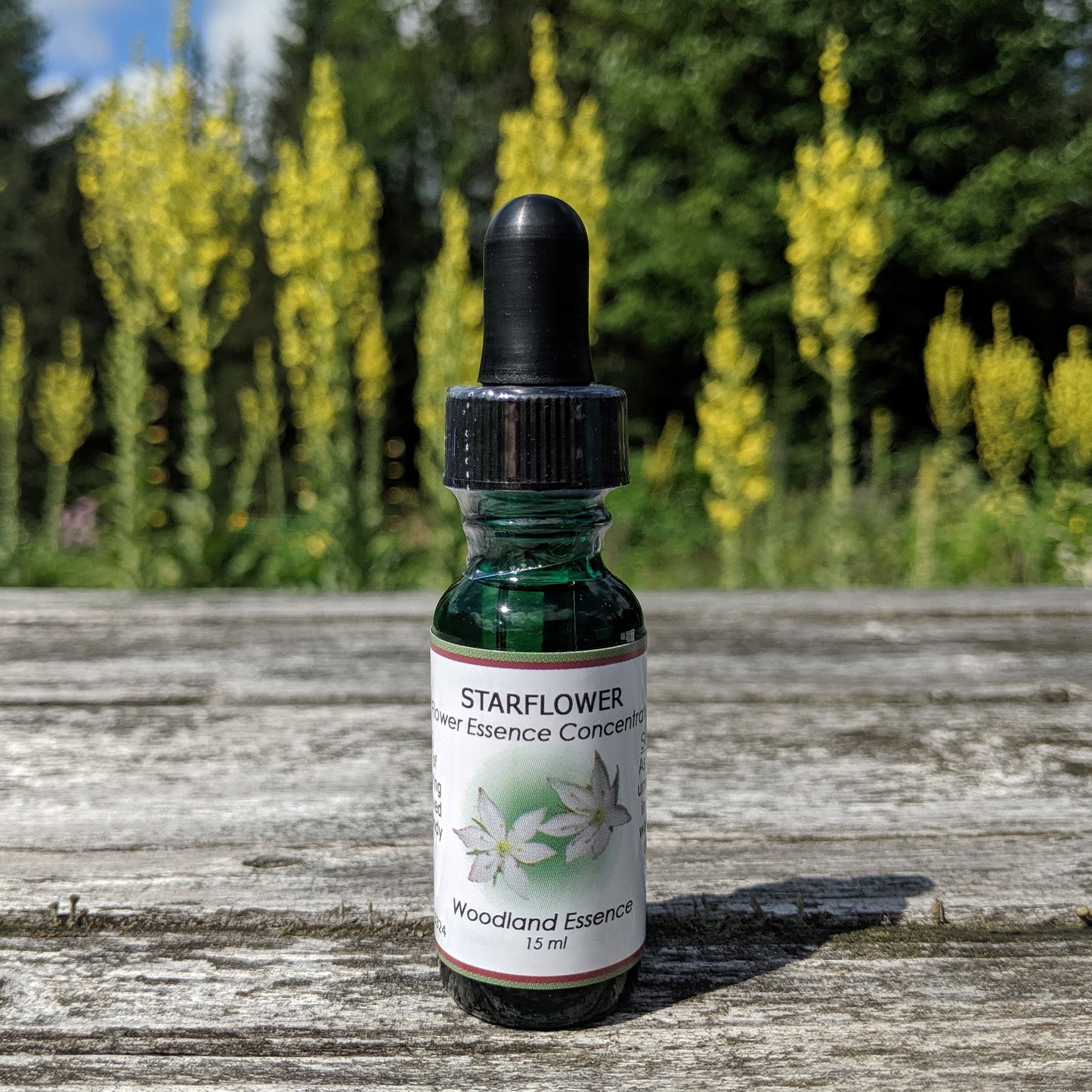 Bottle of Starflower Flower Essence on picnic table 