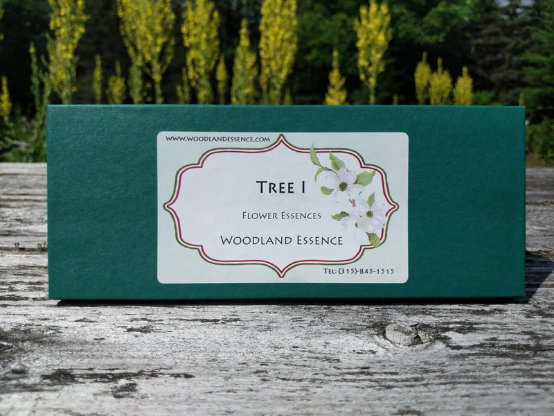 Tree 1 Flower Essence box on picnic table