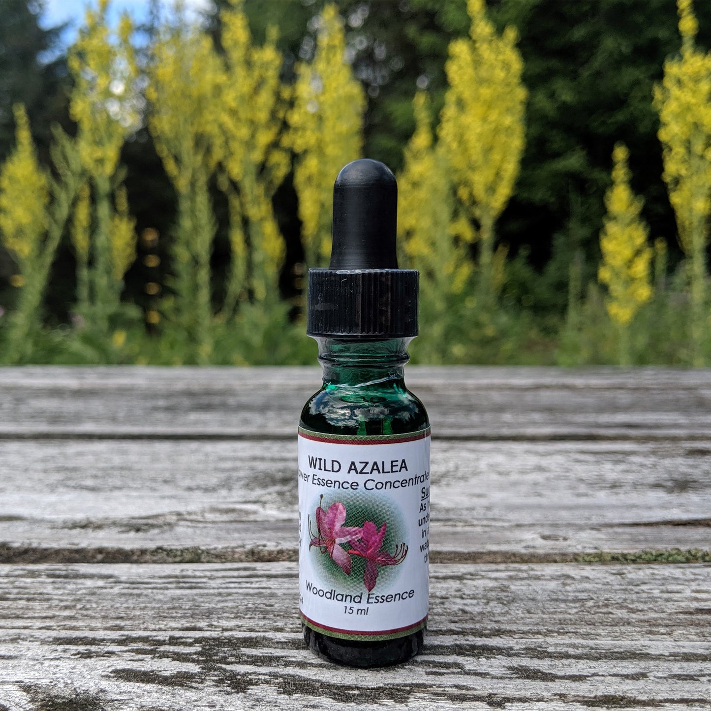 Bottle of Wild Azalea Flower Essence on picnic table 