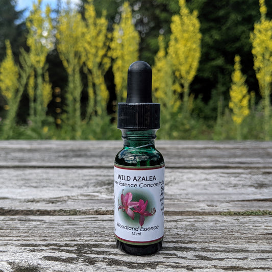 Bottle of Wild Azalea Flower Essence on picnic table 