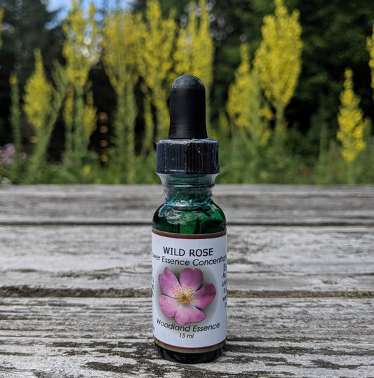 Bottle of Wild Rose Flower Essence on picnic table 
