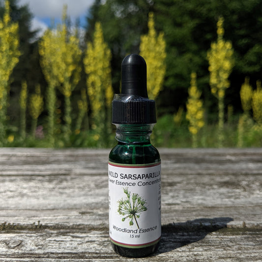 Bottle of Wild Sarsaparilla Flower Essence on picnic table 