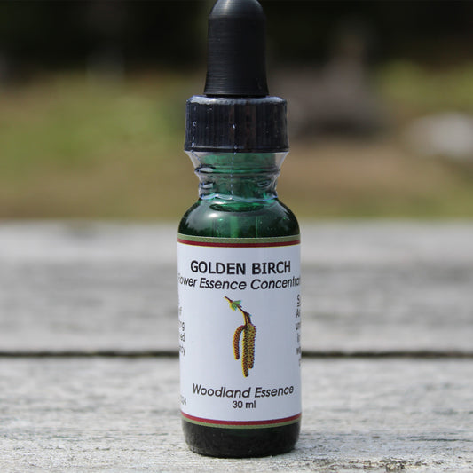 Golden Birch Flower Essence bottle on picnic table 