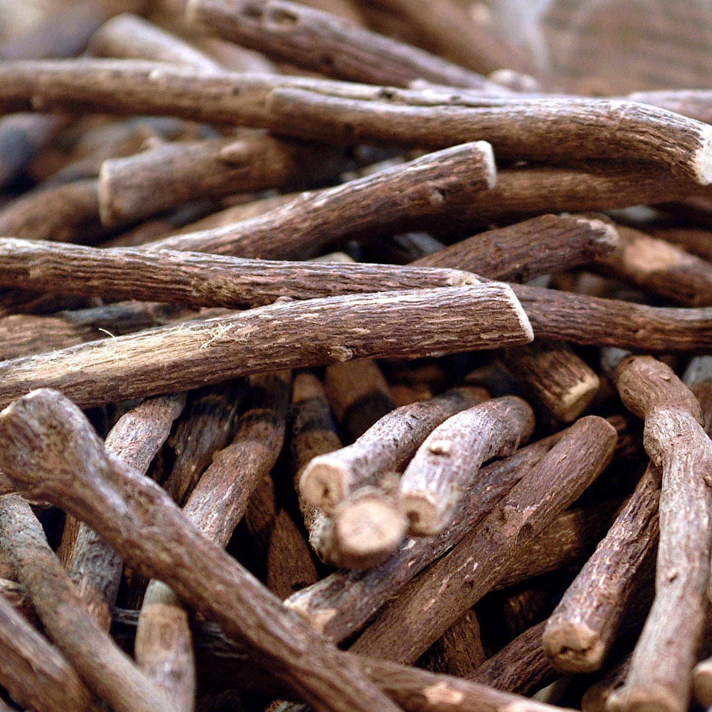 Brown Licorice Root cuttings 