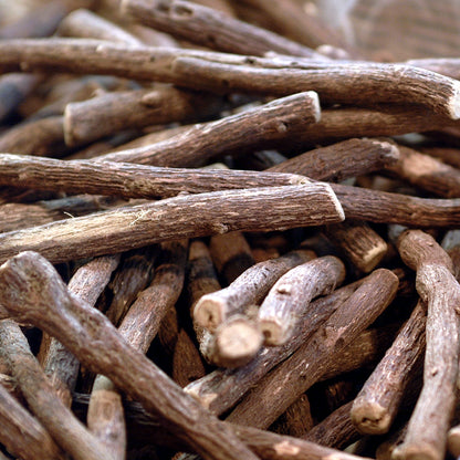 Brown Licorice Root cuttings 