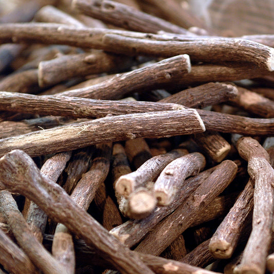 Brown Licorice Root cuttings 